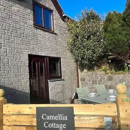 Camellia Cottage Camborne Exterior photo